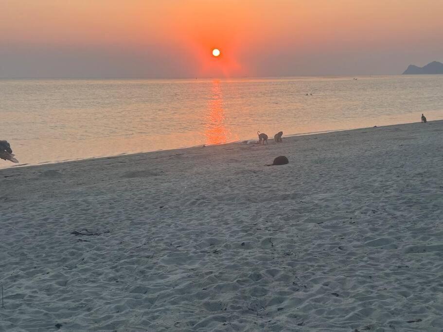 Sunset Serenity Cove パンガン島 エクステリア 写真